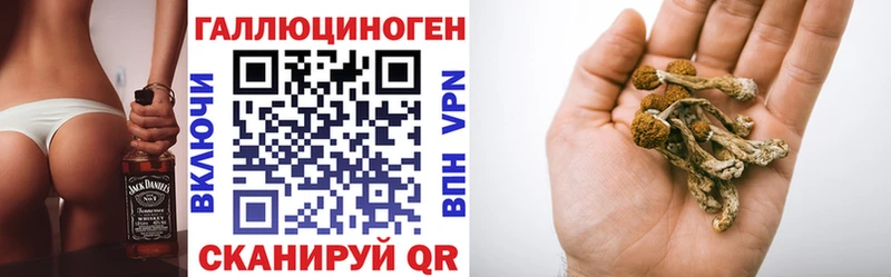 Галлюциногенные грибы Psilocybine cubensis  Электрогорск 